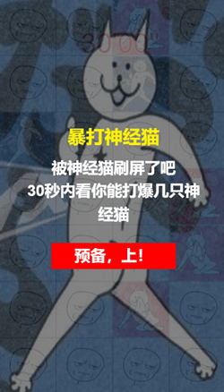 暴打神经猫 1 暴打神经猫